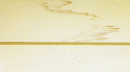 Tannin Stain, Painting Company, House Painters, Atlanta, Alpharetta, Sandy Springs, Dunwoody, Brookhaven, Buckhead, Roswell, Marietta, Milton, Decatur